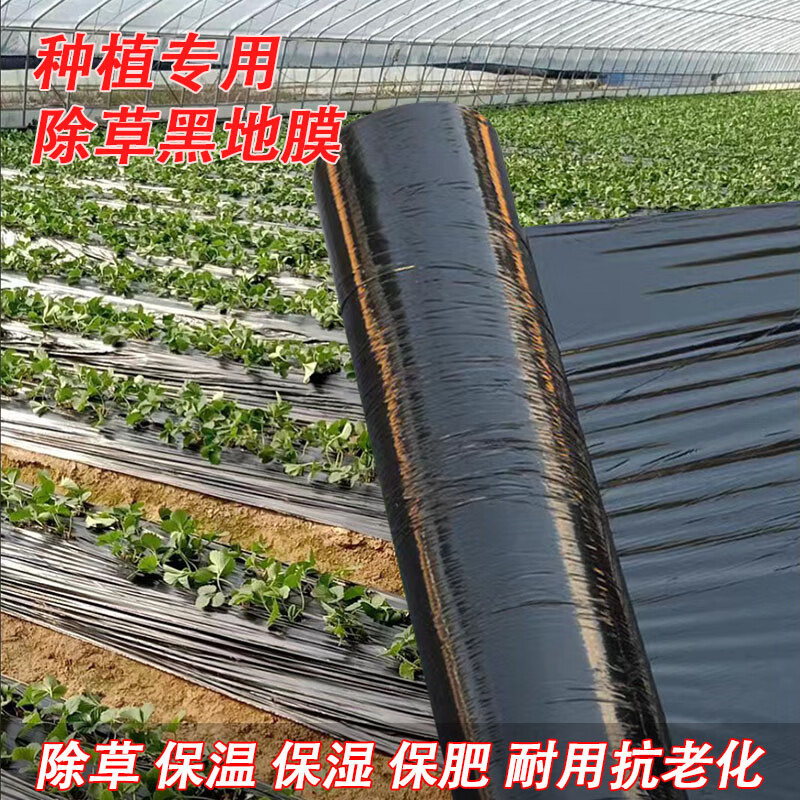 全新黑地膜防草地膜除草黑色果园农用地膜蔬菜塑料薄膜加厚保温膜 5斤