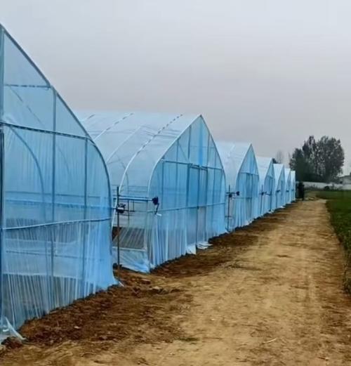 青州市佳和塑业专业生产销售塑料制品,农用薄膜,质量保证